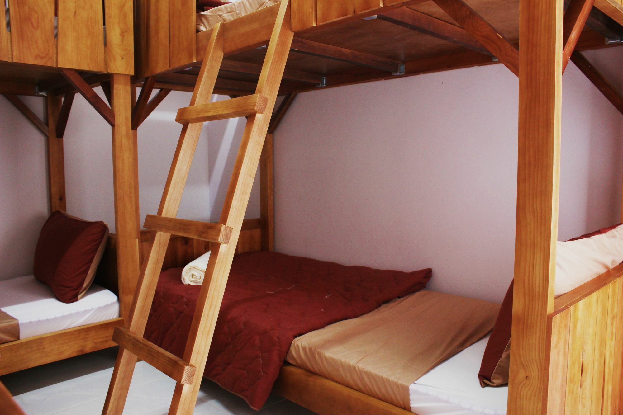 Tree House Hostel Da Lat Dış mekan fotoğraf